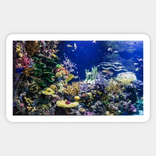 Colourful ocean aquarium Sticker